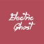 March and April in Berlin with Electric Ghost