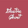 March and April in Berlin with Electric Ghost